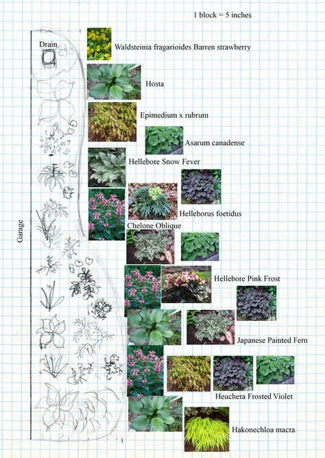 layout for shady side of garage Tree Planting Layout, Boarder Planting Plan, Shady Border Planting Plan, Zone Planting Map, Planting Design Plan, Gardening Zones Map, Garden Decoration Ideas, Flower Bed Designs, Landscape Architecture Drawing