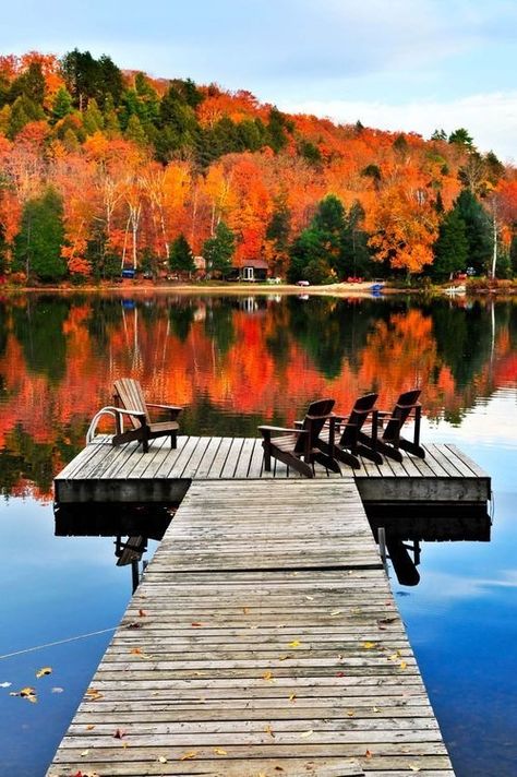 Beautiful fall background on the lake Lake Simcoe, Ontario, Canada Algonquin Park, Autumn Scenes, Fall Pictures, Lombok, Fall Foliage, British Columbia, Beautiful World, Beautiful Landscapes, The Great Outdoors