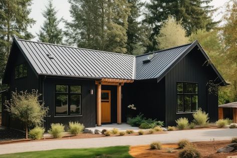 Dark House With Metal Roof, Black House Exterior Metal Roof, Black Siding Ranch House, Black Painted Ranch House, Small House Black Exterior, Dark Cedar House, Black House Exterior Ranch, Small Black Exterior House, Black House With Metal Roof