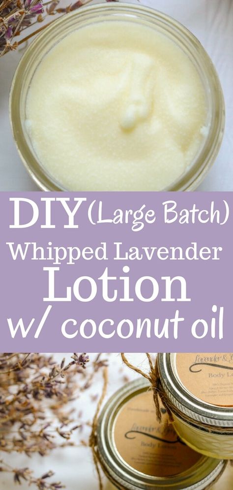 Lavender Lotion Diy, Lavender Infused Coconut Oil, Homemade Lotion Recipe, Lotion Coconut, Whipped Coconut Oil, Coconut Lotion, Coconut Oil Lotion, Whipped Lotion, Coconut Oil Body