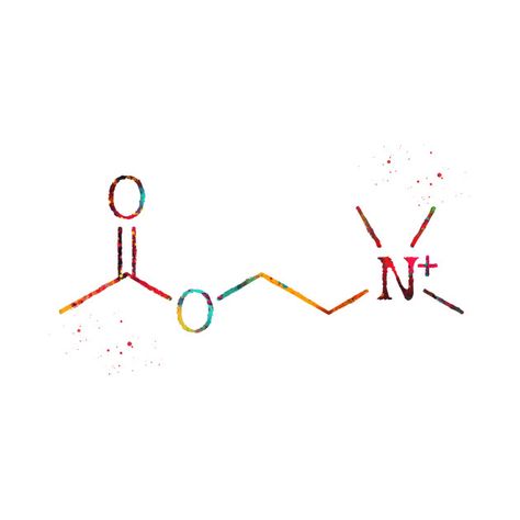 Acetylcholine Tattoo, Acetylcholine Molecule, Chemical Tattoo, Molecule Design, Science Tattoos, Molecule Tattoo, Body Mods, Half Sleeve, Tattoos And Piercings