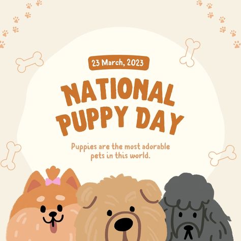 Dog Post Instagram, Puppy Graphic Design, Dog Instagram Template, Dog Food Social Media Design, Pet Shop Instagram Design, National Cat Day, Dog Hotel, National Puppy Day, Puppy Day