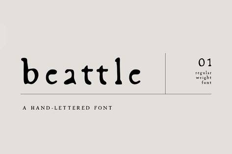 Typewriting Font, Type Fonts, 2023 Fonts, Typewriter Fonts, Book Fonts Typography, Type Font, Minimalistic Fonts, Typewriter Branding, Book Font