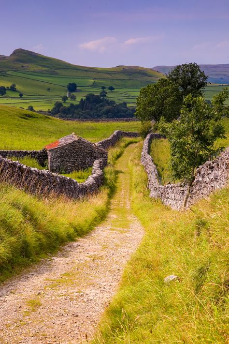 Yorkshire Dales Prints Grassington Yorkshire Dales, Yorkshire Photography, Welsh Landscape, Yorkshire Moors, Yorkshire Rose, Yorkshire Dales National Park, Blue Poppies, The Road Not Taken, Northern England