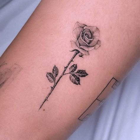 Tiny realism black and grey rose tattoo by @fuhrichtattoo Sharp Rose Tattoo, Rose Men Tattoo Arm, Small Black And White Rose Tattoo, Single Rose Tattoo Men, White Rose Tattoo Men, Greek Rose Tattoo, Rose Tattoo Men Bicep, Fine Line Rose Tattoo Men, Bicep Rose Tattoo