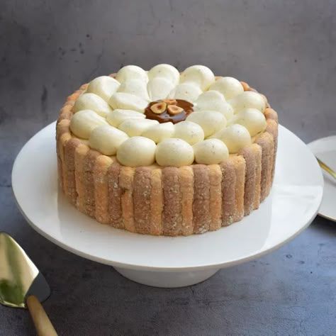 Recette de Charlotte vanille & praliné noisette Charlotte Dessert, Entremet Recipe, Charlotte Cake, Fluffy Cake, Dessert Presentation, Hazelnut Praline, Thermomix Desserts, Cheesecake Cake, Gourmet Desserts