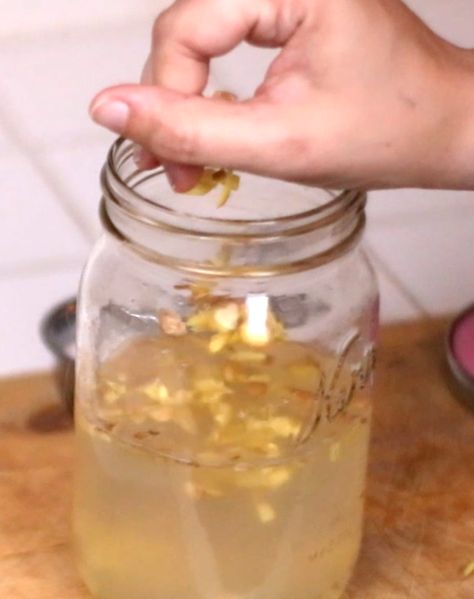 Ginger Bug Starter Culture Ginger Bug Starter, Ginger Bug Recipe, Boudin Recipe, Ginger Bug, Soda Flavors, Homemade Soda, Homesteading Skills, Ginger Beer, Sourdough Starter