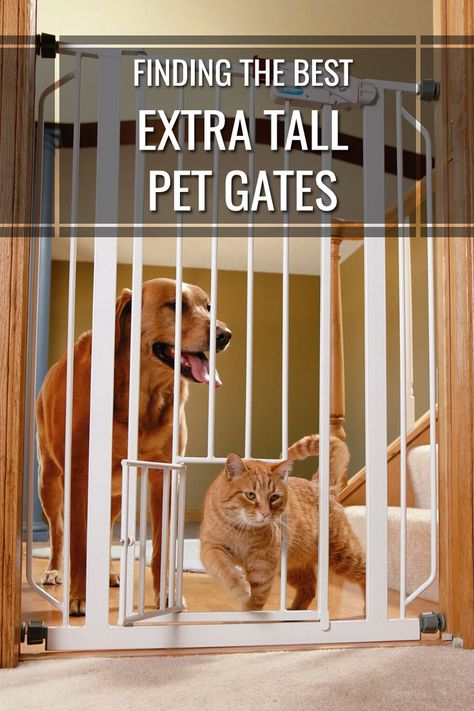 Finding The Best Tall Pet Gate For Your Home In 2016: Despite your best efforts pets can be very resourceful in getting around barriers that you set for them. Having a way to successfully coral your fur baby in your home can save you headaches and make sure your pet doesn’t get into anything off-limits. An extra tall pet gate can be an extremely useful resource for keeping your pet out of trouble inside the house. Extra Tall Pet Gate, Tall Pet Gate, Cat Gate, Pet Gates, Pvc Pipe Projects, Dog Room, Pet Enclosure, Cat Things, Dog Rooms