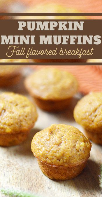 wow your guests with the delicious fall flavors of these pumpkin mini muffins Pumpkin Mini Muffins, Mini Pumpkin Muffins, Puppy Chow Recipe, Mini Muffin Recipe, Chow Recipe, Puppy Chow Recipes, Frozen Pumpkin, Baby Recipes, Bakery Items