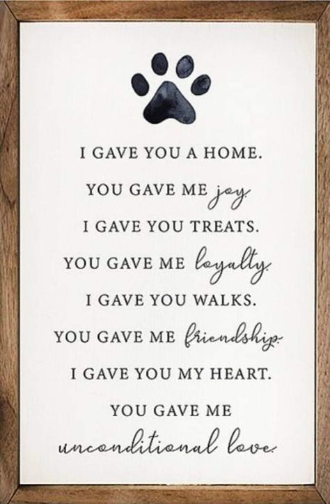 Losing A Pet Quotes, Pet Memorial Ideas Dogs, Pet Quotes Dog, Dog Heaven Quotes, Miss My Dog, Dog Poems, Dog Memorial Tattoos, Animal Tattoo Ideas, Dog Quotes Love