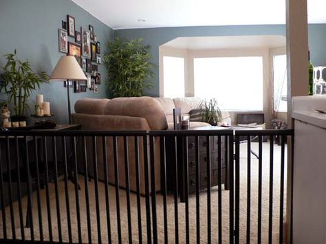 These creative PVC projects will have you thinking twice about using inexpensive pipes to create a new piece custom piece that looks like a high-end designer! Dog Gates Indoor, Wide Baby Gate, Diy Dog Gate, Diy Baby Gate, Dog Gates, Dog Lounge, Pvc Projects, Pet Fence, Dog House Diy