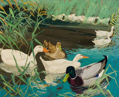 Jessie Arms Botke Beautiful Paintings Of Nature, Swimming Pictures, Bird Pics, Mallard Ducks, Duck Pins, Painting Birds, Bird Paintings, Wood Ducks, Stretched Canvas Wall Art