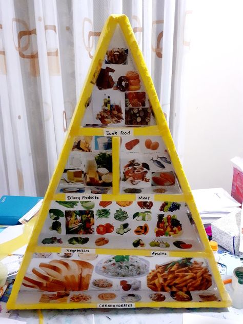 A food pyramid with 5 stages Food Pyramid Project Ideas, Food Pyramid Kids Activities, Food Pyramid Model, Food Pyramid Project, Food Group Pyramid, Pyramid Project Ideas, Food Pyramid Kids, Science Crafts For Kids, Pyramid Model