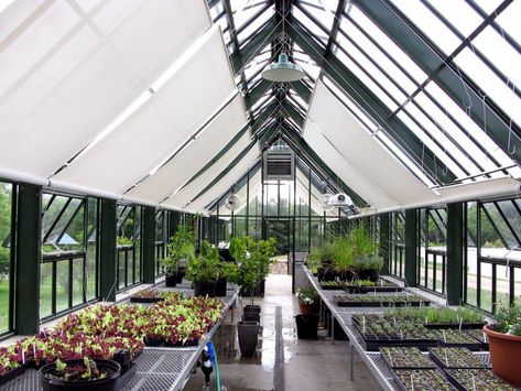 Veggie Greenhouse, Dream Greenhouse, Greenhouse Kitchen, Victorian Greenhouses, Plant Watering System, Greenhouse Supplies, Green House Design, Winter Gardening, Build A Greenhouse