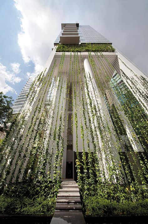 Ivy Architecture, Vines On Building, Plant Facade Architecture, Hanging Foliage Installation, Green Stalk Vertical Garden, Vertical Gardens, Plant Installation, Green Facade, Pool Landscape Design