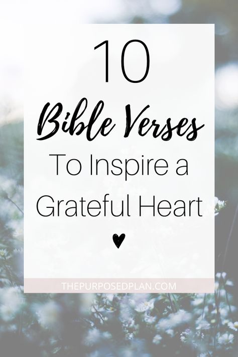 Use these gratitude bible verses and scriptures to inspire a grateful heart within yourself #grateful #thankful #bibleverse #scripture Thank You Quotes Gratitude Christian, Scriptures About Thankfulness, Thank You Bible Verse Scriptures, Bible Verse About Gratefulness, Scriptures On Thankfulness, Scriptures For Thankfulness, Bible Thankful Quotes, Grateful Quotes Bible, Bible Verse Thankful Scriptures