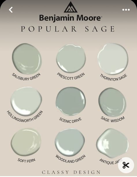 Parisian Patina Benjamin Moore, Benjamin Moore Sage Tint, Thornton Sage Benjamin Moore, Prescott Green Benjamin Moore, Soft Fern Benjamin Moore, Bm Sage Wisdom, Sage Green Benjamin Moore, Salisbury Green Benjamin Moore, Eucalyptus Paint Color