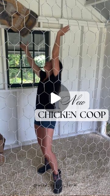 Heather+Dave ♡ on Instagram: "Have you guys checked out our YouTube videos with our new coop build? We are a little behind, but will have a new video posted today or tomorrow. We talk about our must haves if your new to chickens & coops. We learned from our ‘starter coop’ as @marthastewart called it ~ & she was right 😜 Now that the coop is mainly finished I have to work on the interior finishes. 
We are using @eatonpetandpasture products inside our coop & just loving the natural hemp bedding as well as nesting pads. Eaton also has an amazing smelling coop refresh to keep your coop smelling good. Head over & check out all their great products & use code wildheartsfarm for 20% off your first order. Link is in my bio as well 🐓

#chickencoopdesign #chickencoop #chickens #chicken #backyardchi How To Decorate A Chicken Coop, Best Chicken Coop Bedding, Inside Chicken Coop Nesting Boxes, Camper Chicken Coop Interior, Chicken Coop Interior Ideas, Coop Inside Run, Hemp Bedding, Hen On Nest Collection, Inside Chicken Coop