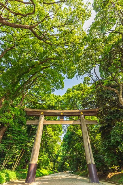 Meiji Shrine (Meiji Jingū Ichino Torii) | 🚩 Meiji Shrine Yo… | Flickr Meiji Jingu Shrine Tokyo, Meiji Shrine Tokyo, Meiji Jingu Shrine, Meiji Jingu, Fantasy Scenery, Grad Trip, Japan Bucket List, Meiji Shrine, City Tokyo