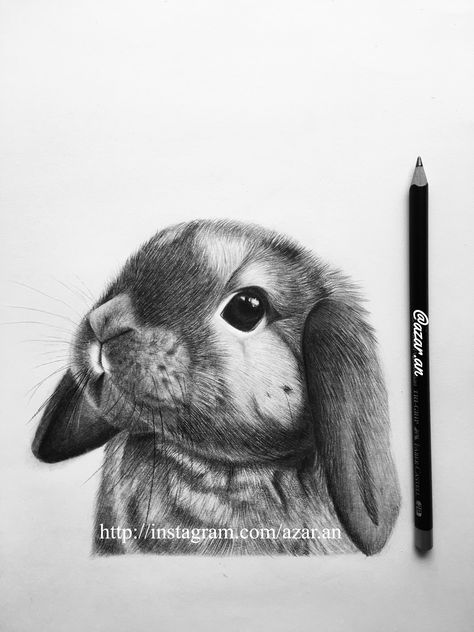 Bunny pencil drawing Realistic Bunny Drawing, Draw Bunny, Drawing Ideas Pencil, Rabbit Drawing, Aesthetic Notes, Bunny Drawing, Animal Sketches, Pencil Sketch, Pencil Art