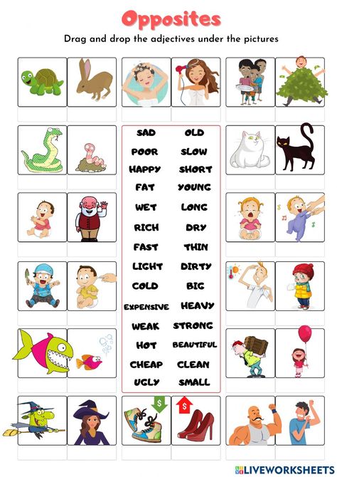 Opposite Adjectives Worksheets, Opposite Worksheet, Opposites Activities, Adjectives For Kids, Adjectives Exercises, Opposites Worksheet, Adjectives Activities, Adjective Words, English Grammar For Kids