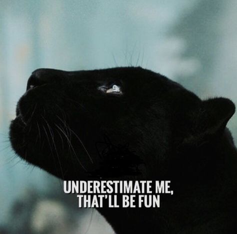 Puma Quotes, Panther Quotes, Tiger Quotes, Gentlemen Fashion, Motvational Quotes, Leo Woman, Lion Quotes, Wolf Quotes, Mixed Feelings Quotes