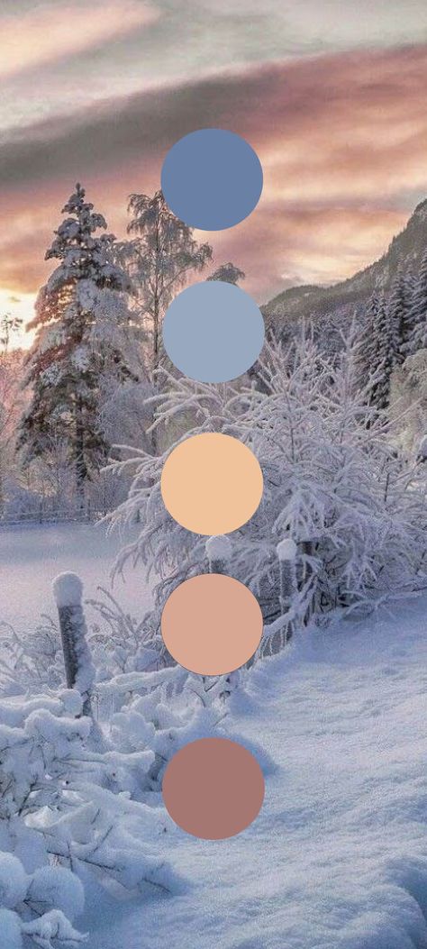 Snow Palette, Winter Family Portraits, Biofilic Design, Pretty Color Combos, Family Photos Winter, Coloring Palette, Winter Interior Design, Winter Colour Palette, Sunset Color Palette