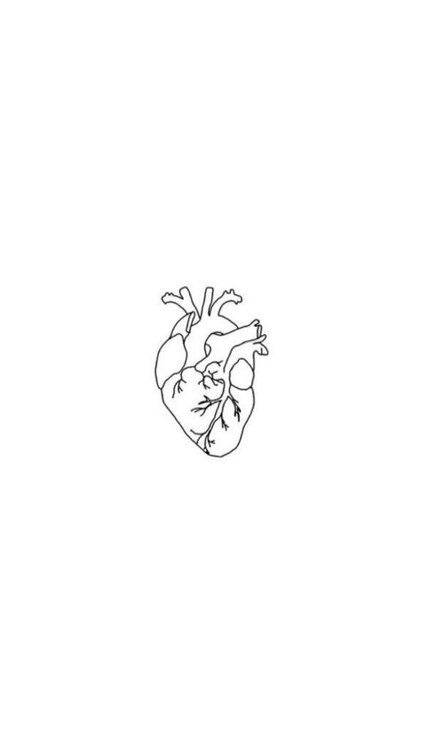 Tattoos For Surgeons, Real Heart Wallpaper Aesthetic, Heart Tattoo Geometric, Simple Anatomical Heart Tattoo, Real Heart Aesthetic, Anatomical Heart Wallpaper, Human Heart Wallpaper, Anatomic Heart Tattoo, Real Heart Wallpaper