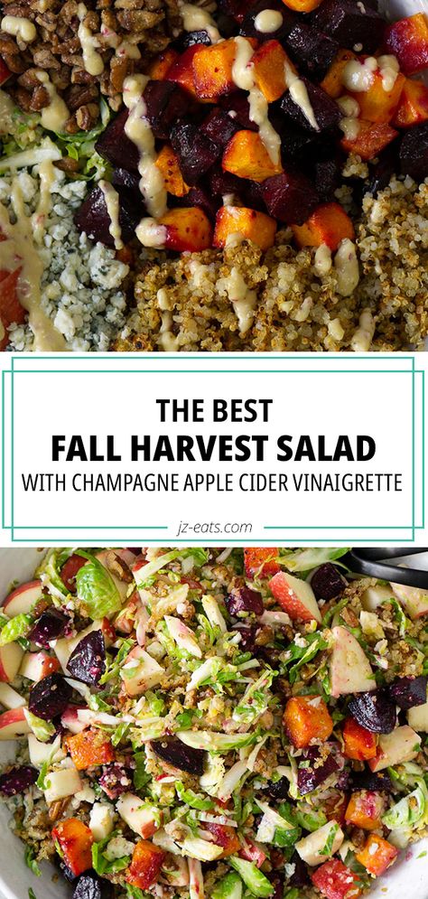 A fall harvest salad that celebrates all things fall. Loaded with the best fall ingredients like butternut squash, brussels sprouts, crispy quinoa, blue cheese, roasted beets and and topped with the most delicious champagne apple cider vinaigrette! #fallrecipes #fallsalad #harvestsalad Fall Salad With Beets, Fall Bean Salad, Harvest Salad Recipes Fall, Fall Salads For A Crowd, Susan Peters, Superfood Salads, Fall Ingredients, Autumn Cooking, Fall Harvest Salad