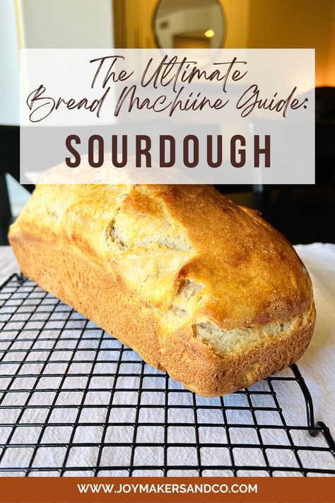 The Ultimate Bread Machine Guide to a 100% Sourdough Sandwich Loaf Sour Dough Bread Machine Recipe, Sourdough Bread Machine, Baking Bread At Home, Bread Dipping, Sourdough Bread Sandwiches, Sandwich Loaf, Dutch Oven Bread, Sourdough Sandwich, Brown Recipe