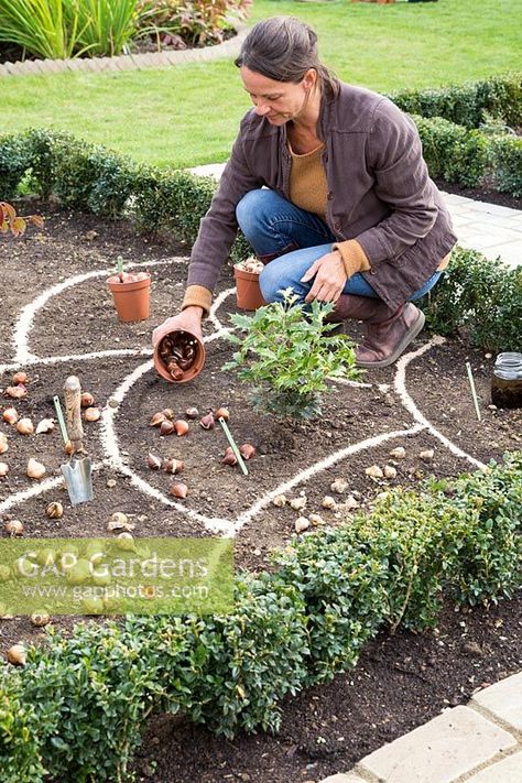 GAP Gardens - Planting Bulbs in a Border - Feature by GAP Photos - GAP Gardens Specialising in garden and plant stock photography Bulbs Garden Design, Bright Centerpieces, Front Garden Landscape, Flower Garden Design, Garden Bulbs, Have Inspiration, Creative Gardening, Beautiful Flowers Garden, Front Yard Garden