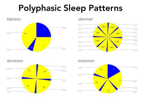 What is polyphasic sleep?  Is your sleep schedule different than the traditional sleep schedule?  SleepPhones® headphones can help polyphasic sleepers and help regulate patterns. #SleepPhones #Polyphasic #Sleep Polyphasic Sleep, Sleep Chart, Chris Bosh, Sleep Habits, Comfortable Headbands, Dwyane Wade, Sleep Schedule, Sleep Cycle, Fall Asleep Faster