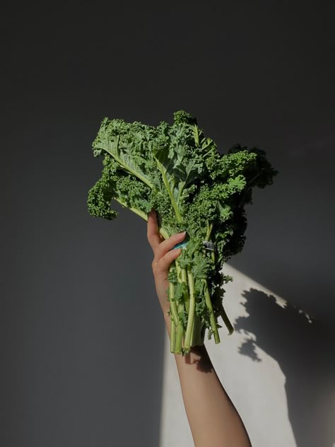 Kale in the sun Food Nature Aesthetic, Superfoods Aesthetic, Healthy Food Aesthetics, Kale Aesthetic, Naturopathy Aesthetic, Wellness Editorial, Wellness Aesthetic Photography, Remedy Place, Vegetable Aesthetic