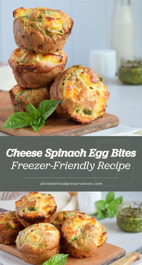 Freezer Breakfast Egg Bites, Freezer Spinach Recipes, Freezable Lunch Ideas, Egg Recipes To Freeze, Egg Bites To Freeze, Can You Freeze Egg Bites, Freezer Friendly Egg Bites, Freeze Egg Bites, Freezable Egg Bites