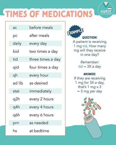 Times of Medication #medicalschool #resources #medicalstudent - Image Credits: Anna Al-Dean Lpn Notes, Nursing School Life, Nclex Questions, Medical Mnemonics, Nursing School Essential, Nursing School Motivation, Medical School Life, Nurse Study Notes, Basic Anatomy And Physiology