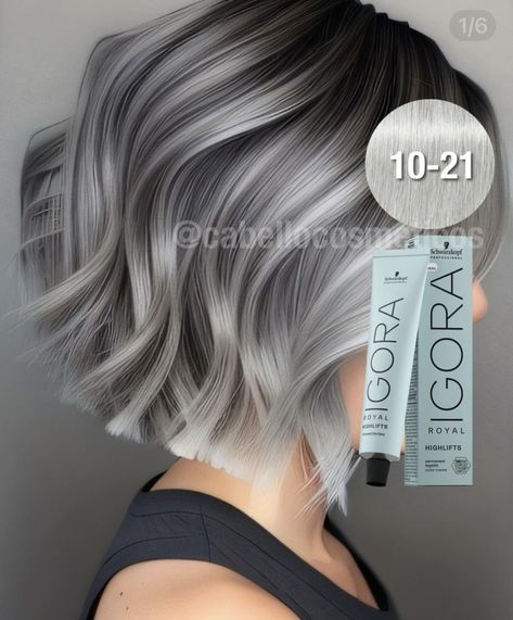 Silver Ombre Hair, Grey Hair Looks, 2023 Hair, Hair Growing Tips, Hair Ombre, Transition To Gray Hair, Blending Gray Hair, Gray Hair Highlights, Bob Hairstyles For Fine Hair