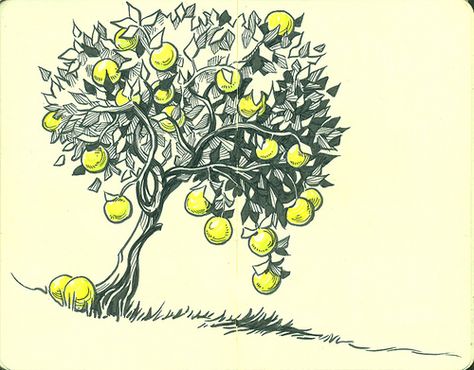 lemon tree by susanrudat, via Flickr Grapefruit Tree Tattoo, Lemon Tree Drawing, Tree Printmaking, Lemon Tree Tattoo, Lemon Tree Art, Loki Tattoo, Grapefruit Tree, Lemon Drawing, Espresso Cookie