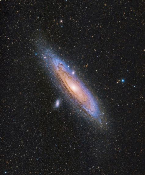 My sharpest photo of the Andromeda Galaxy yet! The Andromeda Galaxy, Real Space Photos Galaxies, The Space Aesthetic, Andromeda Galaxy Aesthetic, Galaxy Real Photo, Galaxie Aesthetic, Glaxay Aesthetics, Space Science Aesthetic, Galaxy Astethic