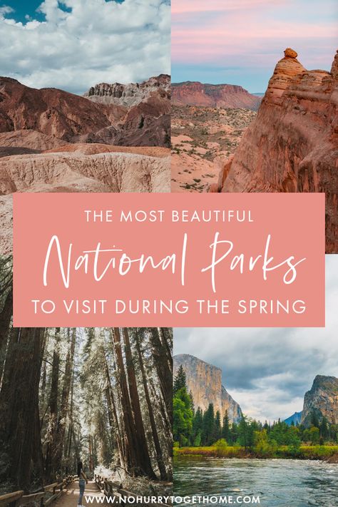 Answering the ultimate question: What are the best national parks to visit in Spring? If you're looking for amazing USA destinations to visit on a spring getaway, here are some of the must-visit national parks in Spring that you need to put in your USA itinerary! Usa National Parks Road Trips, Spring Travel Destinations Usa, Yosemite National Park In March, National Parks To Visit In Spring, When To Visit National Parks, Usa Itinerary, Desert Magic, Mountains Desert, Spring Travel Destinations