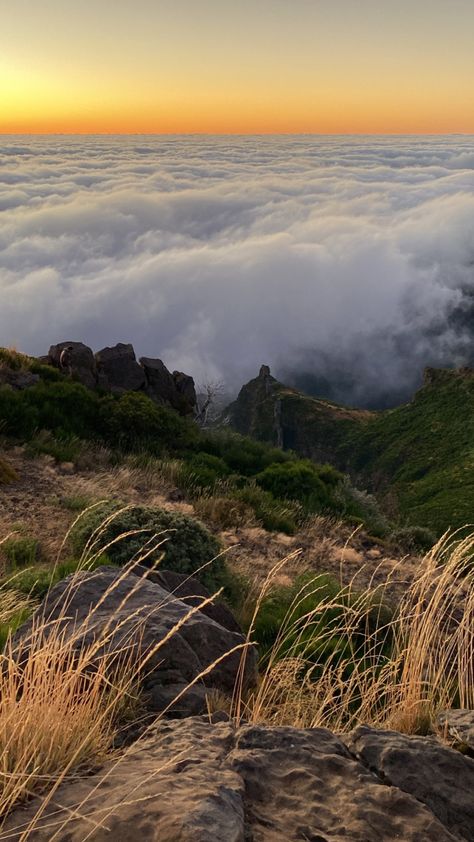 Madeira Aesthetic, Beauty Plan, Aesthetic Ig, Funchal, I Want To Travel, Portugal Travel, Summer 24, Travel Board, Travel Goals