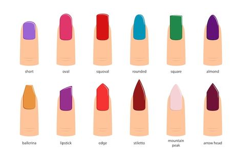 Popular Nail Shapes, Shapes Vector, Acrylic Fiber, Download Image, Popular Nails, Different Kinds, Nail Shapes, Free Vector Art, Photo Illustration