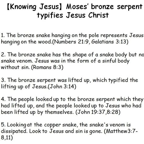 【Knowing Jesus】Moses’ bronze serpent typifies Jesus Christ Bronze Serpent, Snake Venom, Bible Activities, Romans 8, Bible Facts, Jesus Christ, Bible, Jesus, Quick Saves