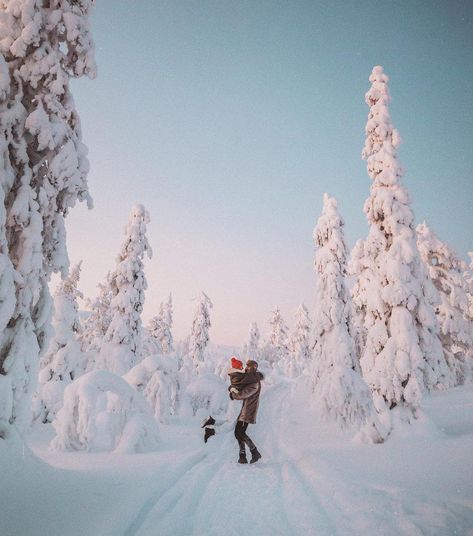 Calling all nature-loving couples that are looking for the perfect proposal idea this winter, consider a winter hike in a snow-filled forest for the ideal place to pop the big question. There's no doubt they'll say yes! See more outdoor proposal ideas we love at the link. // Photo: Lauren Bullen Outdoor Proposal Ideas, Lauren Bullen, Outdoor Proposal, Christmas Instagram Pictures, Winter Proposal, Christmas Instagram, Fantasy Land, Proposal Photos, Winter Elopement