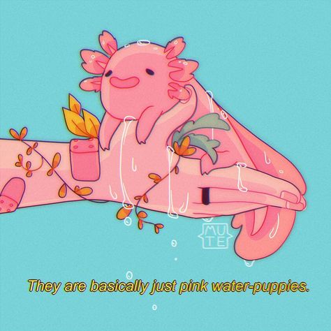 Axolotls sometimes have aggression problems, i think it's funny.  #retro #axolotl #80s #aesthetics Axolotl Cute, Arte Do Kawaii, It's Funny, Cute Animal Drawings, Kawaii Art, Cute Doodles, Cartoon Art Styles, Pretty Art, 그림 그리기