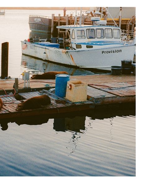 Morro Bay, CA⁠ on 35mm Film .⁠ #efplandscapes⁠ .⁠ .⁠ #Follow —> @foatographer for more⁠ .⁠ .⁠ #35mm #film #photography #analogphotography #filmisnotdead #filmforyall #filmforall #FilmPhotography #FilmCommunity #ShootFilm #StayBrokeShootFilm #FilmCamera #FilmPhoto #FilmGrain #FilmLovers #FilmShooters #FilmVibes #AnalogVibes #FilmLife #FilmIsAlive #ShootFilmStayBroke #FilmDeveloping #centralcoastfilmclub #slocal #evanfoatphotography #visitcalifornia 35mm Film Photography, Film Life, Film Photography 35mm, Film Lovers, Visit California, Shoot Film, Central Coast, 35mm Film, Film Camera