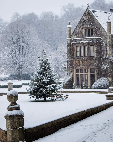 Jane Austen Aesthetic, Austen Aesthetic, Yule Logs, England Winter, I Love Winter, Christmas Cakes, Fondant Icing, Winter Magic, Winter Scenery