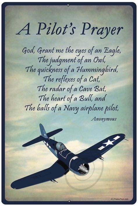 Pilot Dream, Force Quotes, Pilots Quotes Aviation, Pilot Career, Pilot Quotes, Aviation Quotes, Aviation Education, Jet Fighter Pilot, Aviation Humor