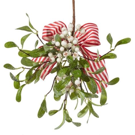 Grinch Christmas Tree, Flower Pot Design, Christmas Plants, Floral Picks, Christmas Material, Christmas Rose, Trendy Tree, Halloween Easter, Christmas Illustration