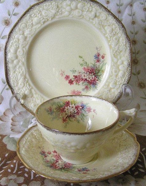 Antique Vintage Crown Ducal Florentine Picardy China Classic Pattern. Circa 1920's. ~ Vagabond Collector of Anything and Everything Crown Ducal, Tafel Decor, Pretty Tea Cups, Antique Dishes, China Dishes, Vintage Crown, Vintage Teacups, Teapots And Cups, Antique Tea