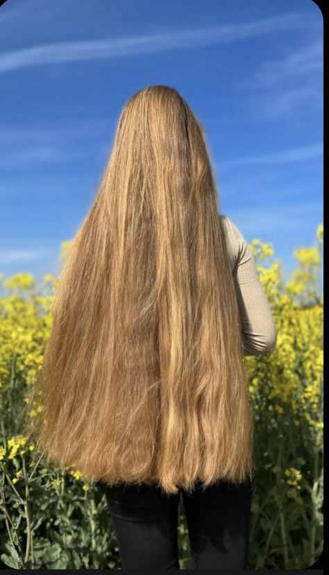 Super Long Ponytail, Long Hair Growing Tips, Long Hair Aesthetic, Hair Job, Long Ponytail, Long Shiny Hair, Long Indian Hair, Long Hair Ponytail, Long Hair Models